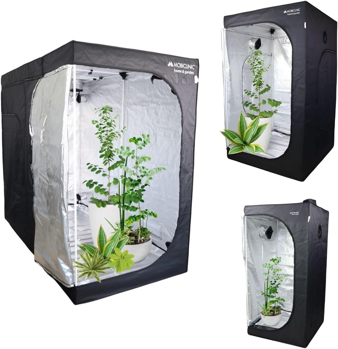 Cultibox Light Plus 150x150x200 cm